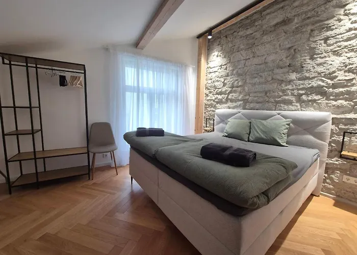 Suur-karja Penthouse Lejlighed