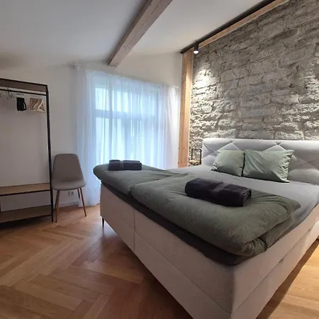 Suur-karja Penthouse Apartment