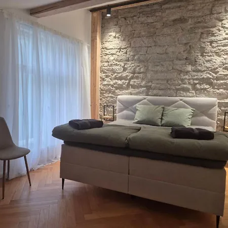 Suur-karja Penthouse Apartment